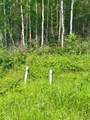 67325 Churchill Park Road - Photo 3