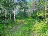 67325 Churchill Park Rd - Photo 4