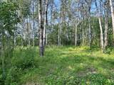 67325 Churchill Park Rd - Photo 5