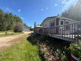 2761 Bambi Street - Photo 13