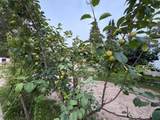 708 6 Street - Photo 18