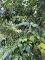708 6 Street - Photo 19