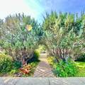 10209 105 - Photo 38