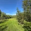 67173 Range Road 155 - Photo 12