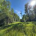 67173 Range Road 155 - Photo 16