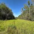 67173 Range Road 155 - Photo 17