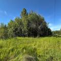 67173 Range Road 155 - Photo 18