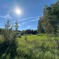 67173 Range Road 155 - Photo 22