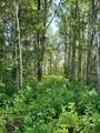Lot 4 Campsite Road - Photo 3