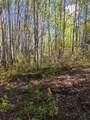 15538 Old Trail - Photo 1
