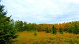 2520854, 1, 6 - Photo 4