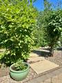 100 Trinity Boulevard - Photo 43
