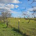 64382 112A Range - Photo 12