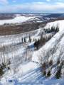 453 Signal Road - Photo 41