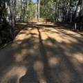 15538 Old Trail - Photo 2