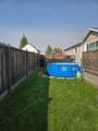 157 Elm Street - Photo 29