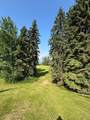 318 15156 Old Trail - Photo 31