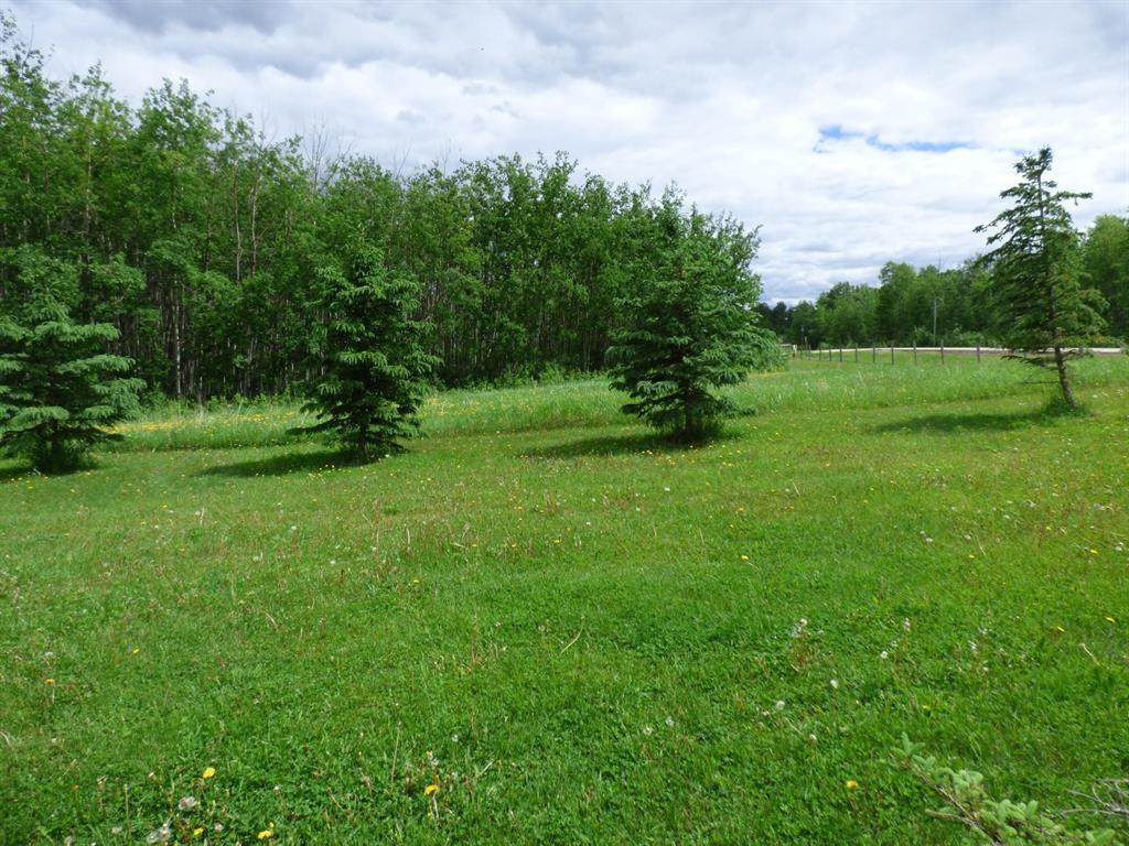 14176 Township Road 672 A Land - Photo 1