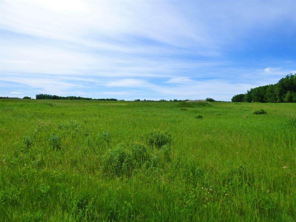 101 14457 Twp Rd 683 Range - Photo 1