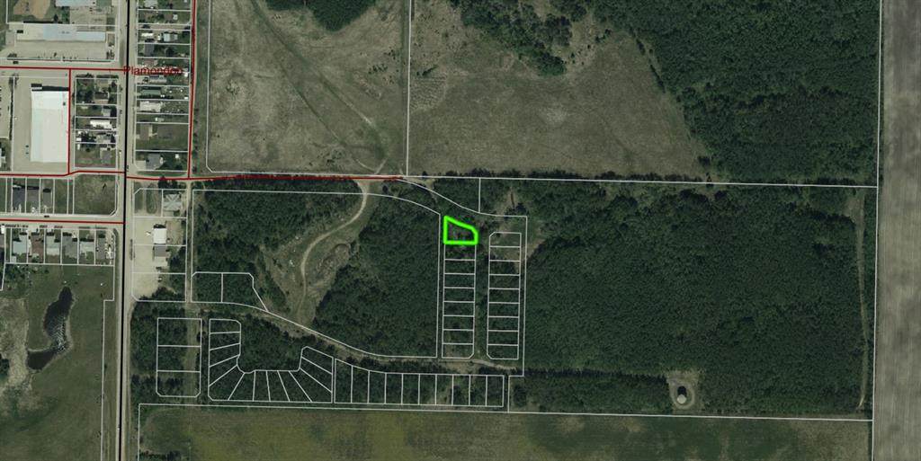12 100 Plamondon Street - Photo 1