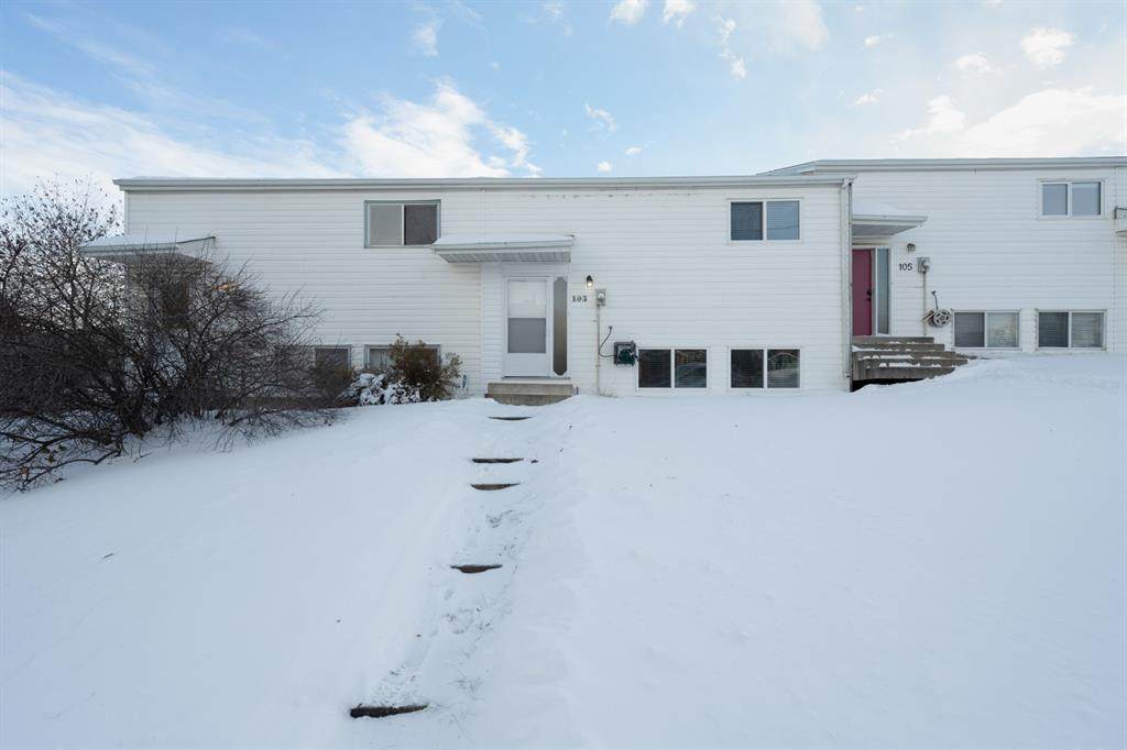 103 Raven Place - Photo 1
