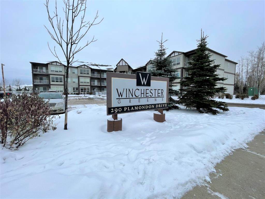 290 Plamondon Drive - Photo 1