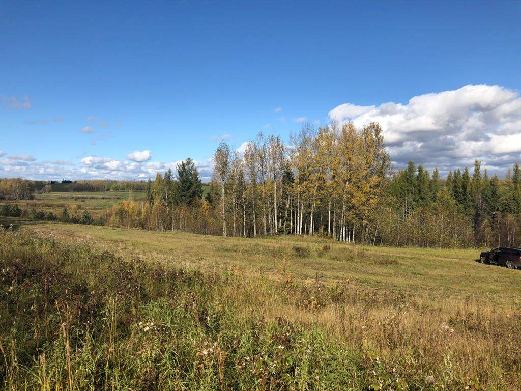 16326 Twp Rd 675 - Photo 1