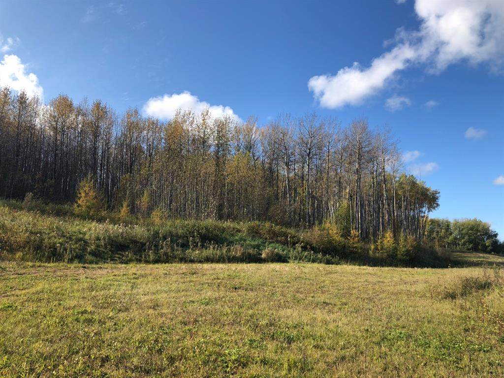 16326 Twp Rd 675 - Photo 1