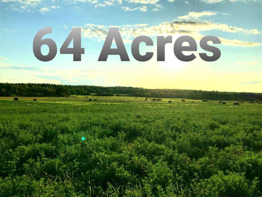 Hwy 55 111A Range - Photo 1