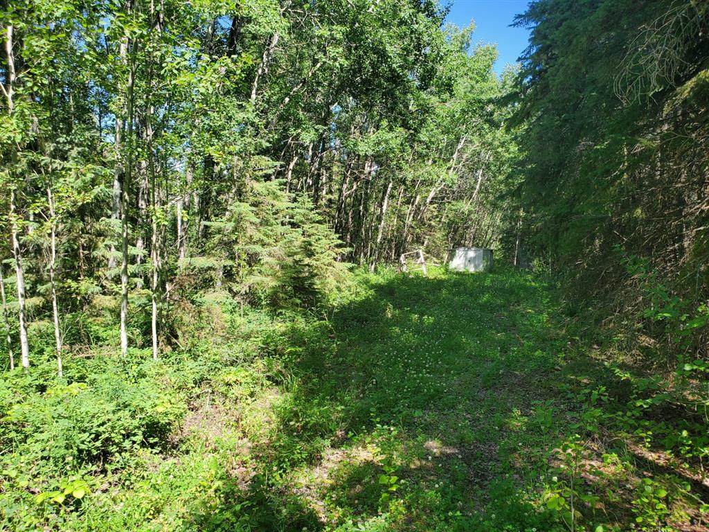15538 Old Trail - Photo 1