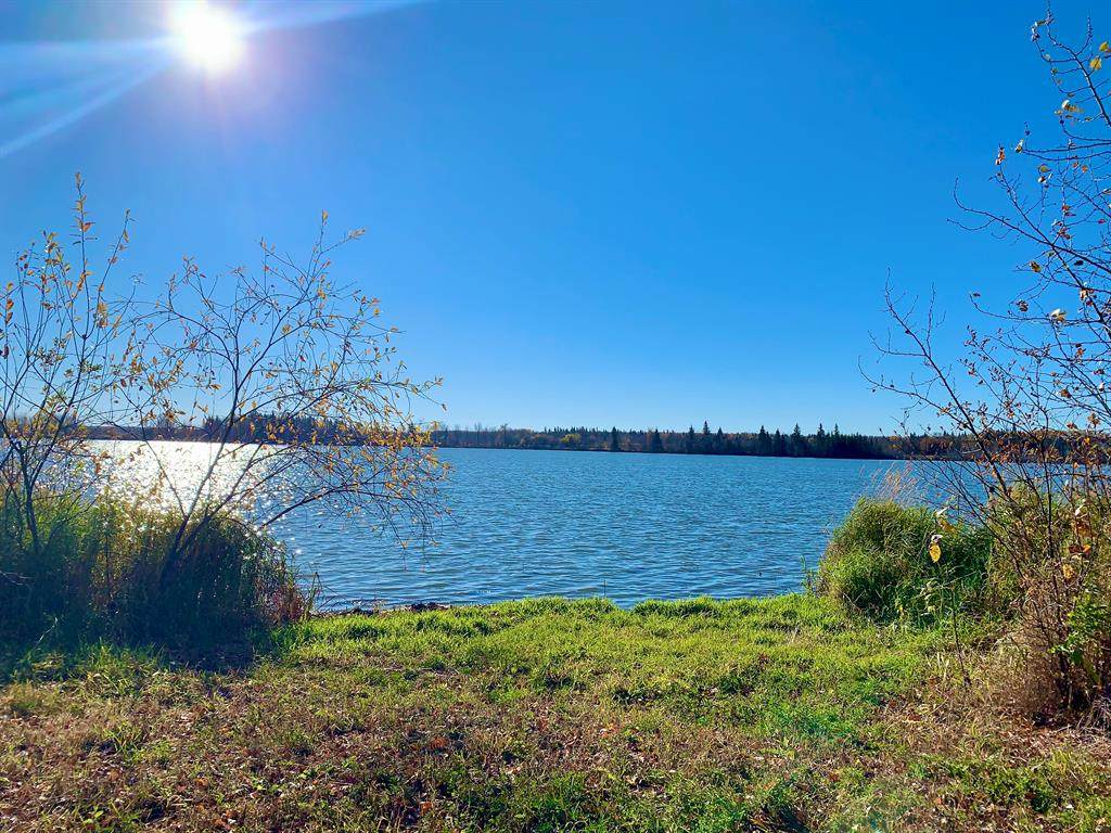 13279 Lakeland Drive - Photo 1