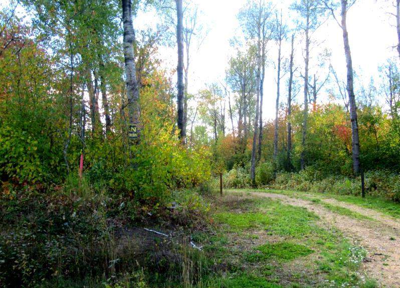 1520018 - 1 - 1 Poplar Point - Photo 1