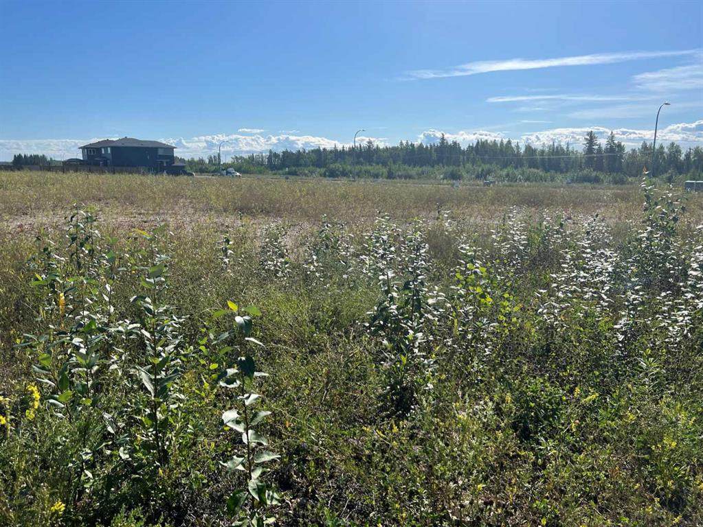 109 Dwyer Close - Photo 1