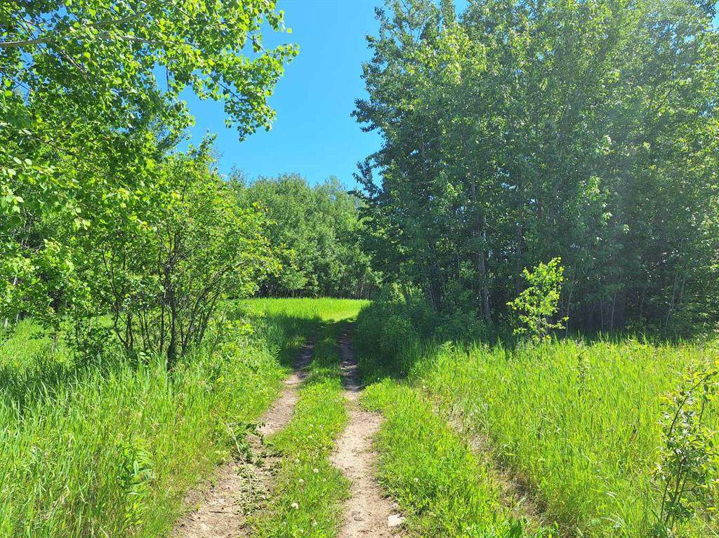 Twp Rd 665A Range Road 153 - Photo 1