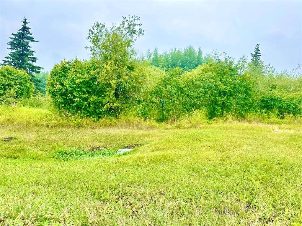 13221 Twp Rd 680 Township - Photo 1