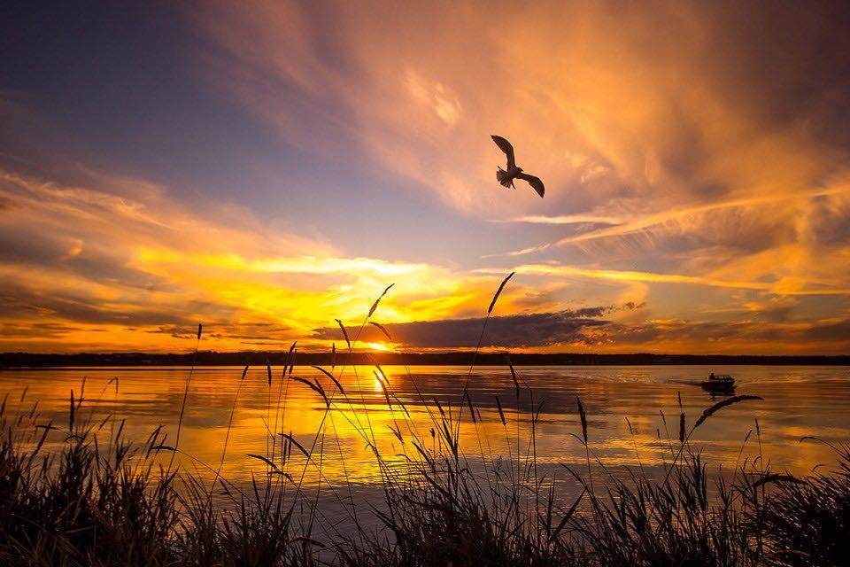 0 Old Trail - Photo 1