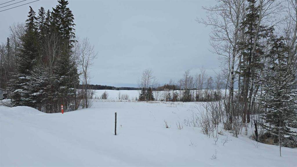 #118, 15421 Old Trail - Photo 1