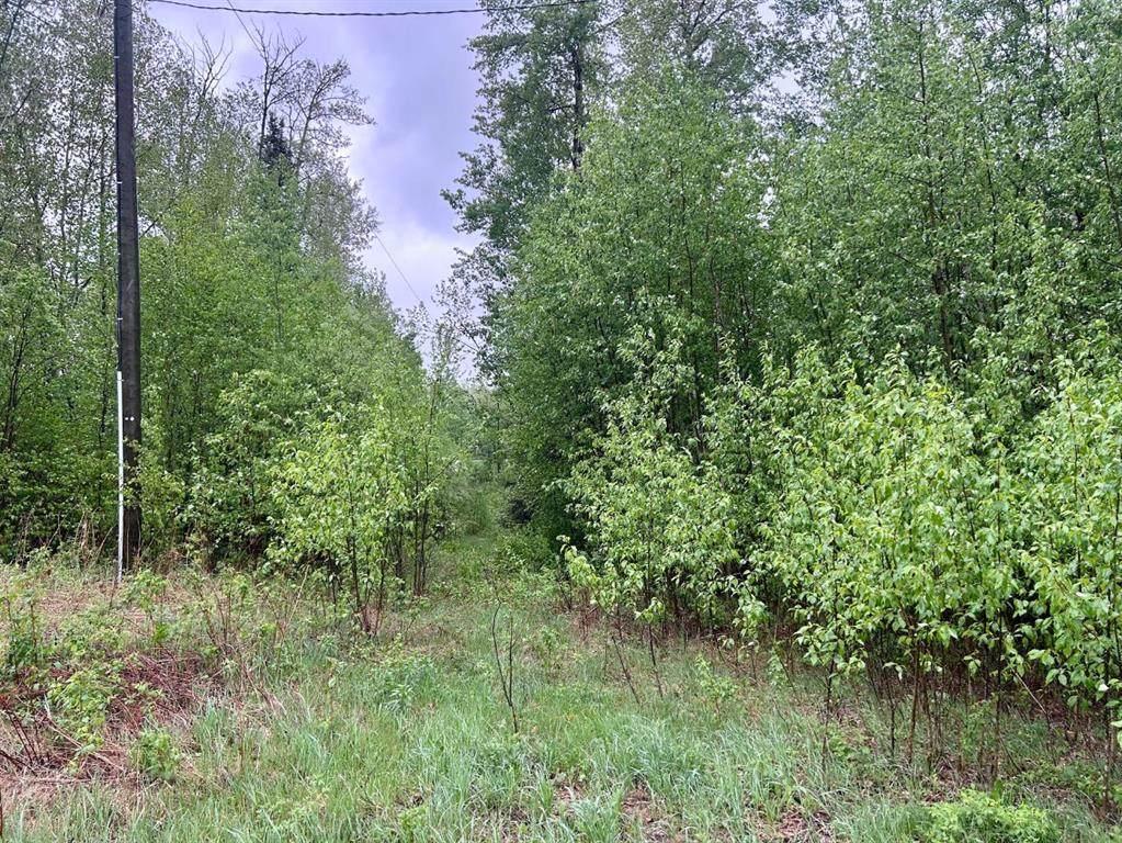 67458 Mcgrane Rd - Photo 1