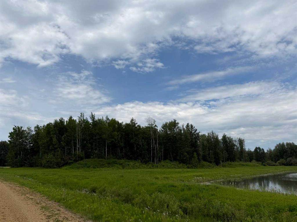 5 Spruce Point Estates Road - Photo 1