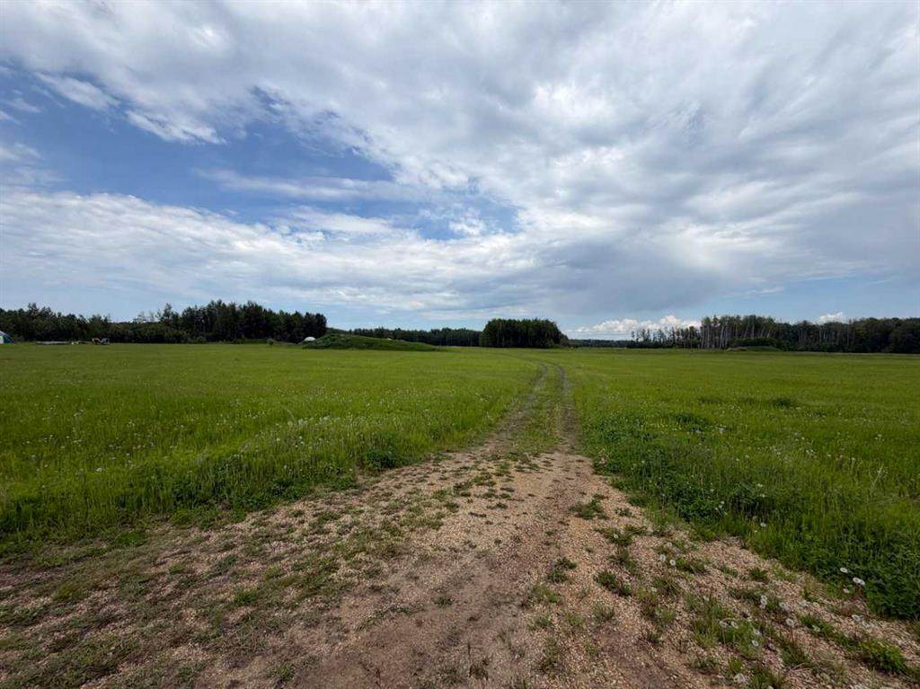 42 Spruce Point Estates Road - Photo 1