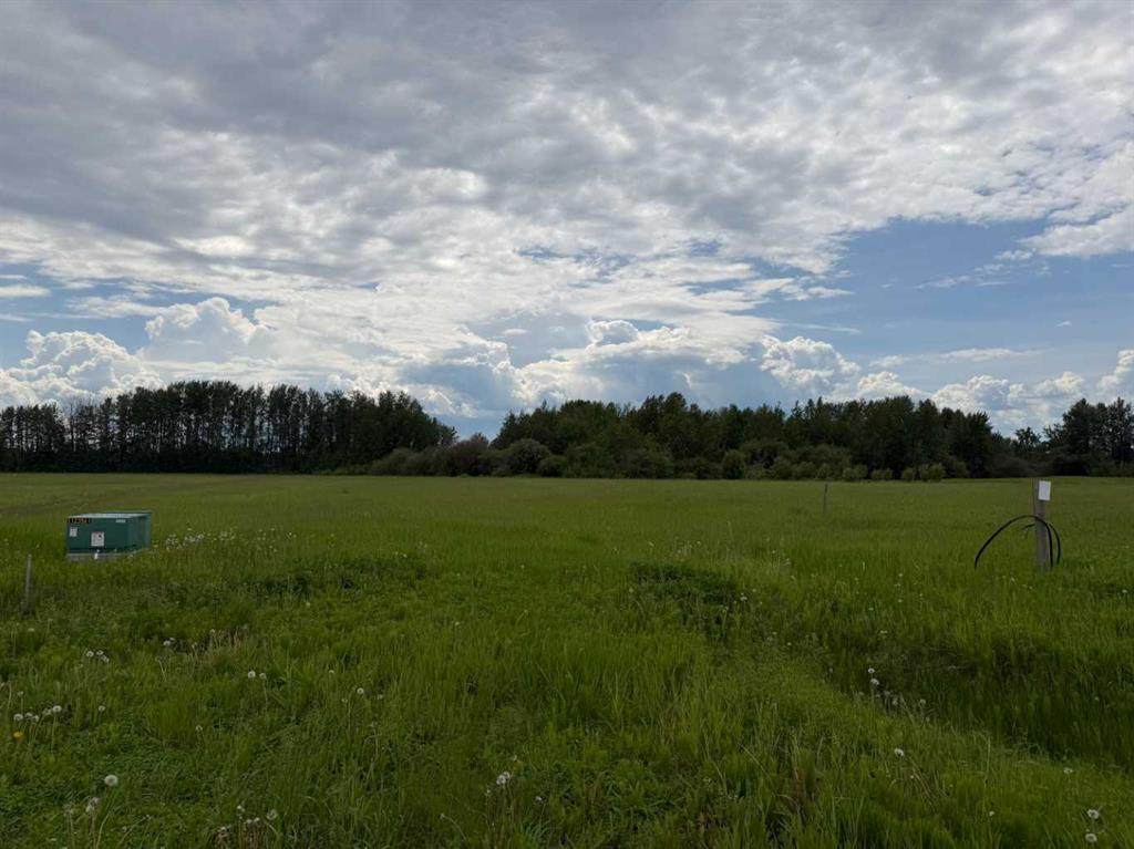 409 Spruce Point Estates Place - Photo 1