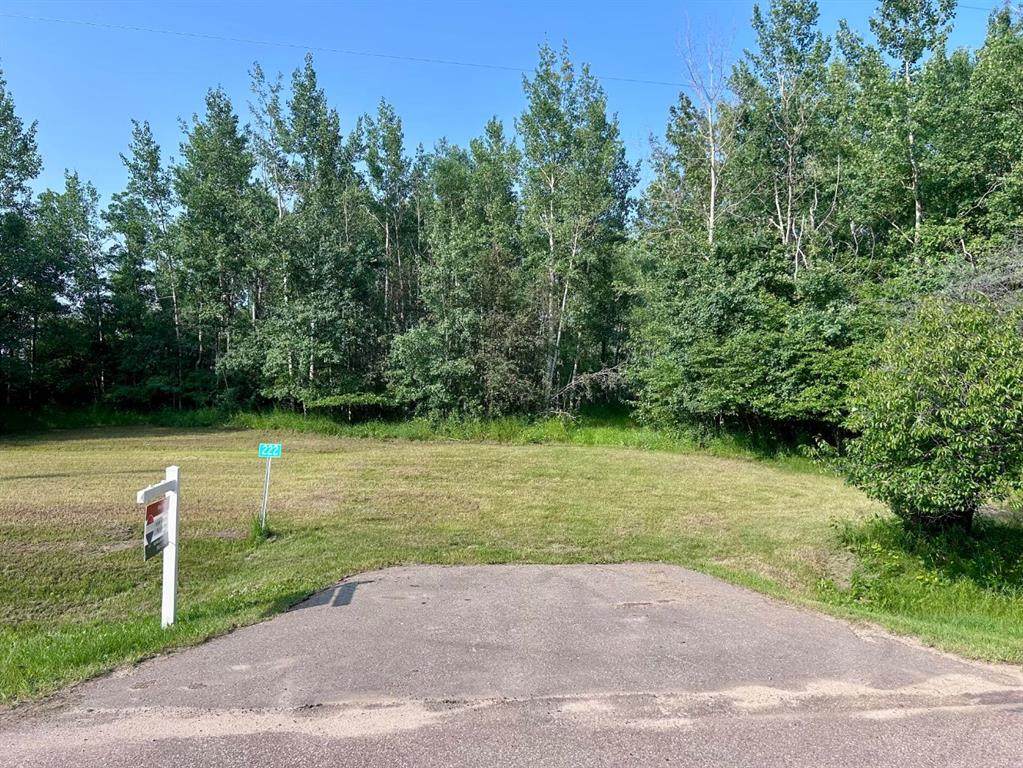 67325 Churchill Park Rd - Photo 1