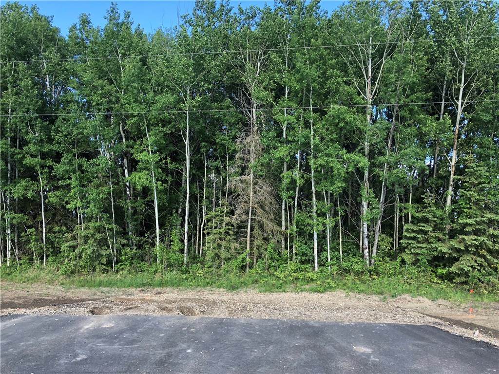 Lot 9 Campsite Road - Photo 1