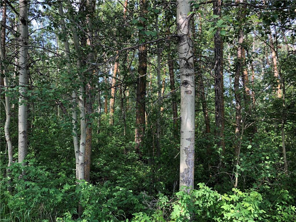 Lot 15 Campsite Road - Photo 1
