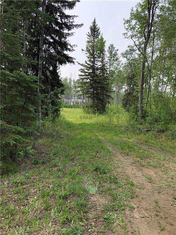 16363 Twp Rd 675 - Photo 1