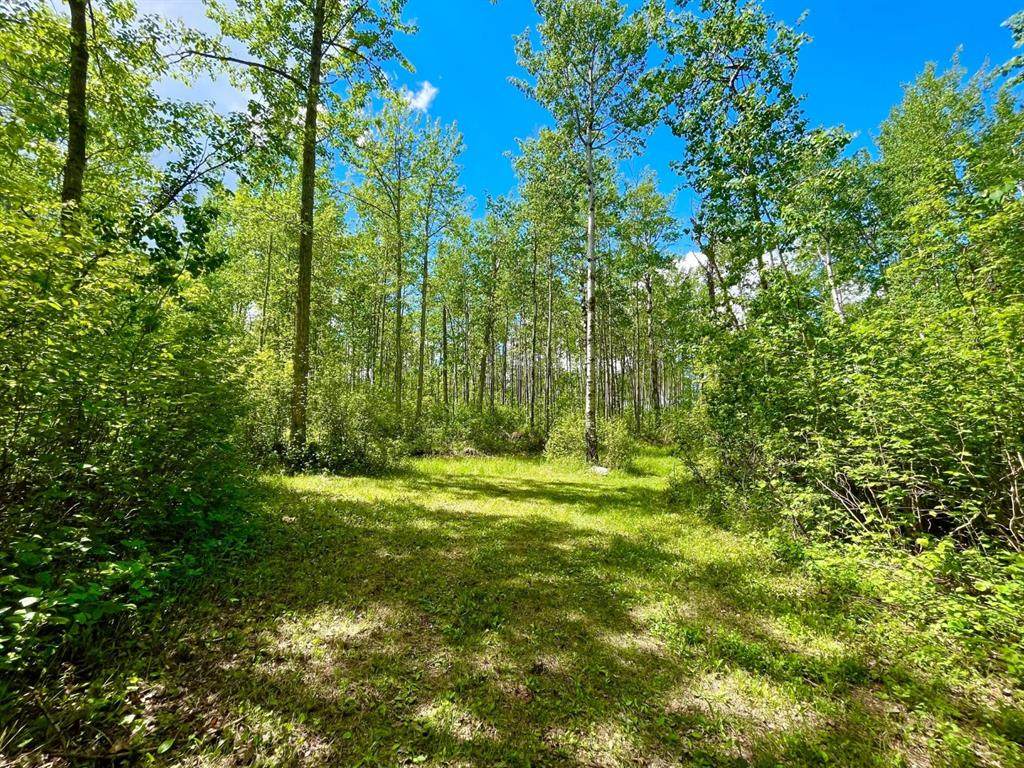 10 15023 Highway 55 - Photo 1