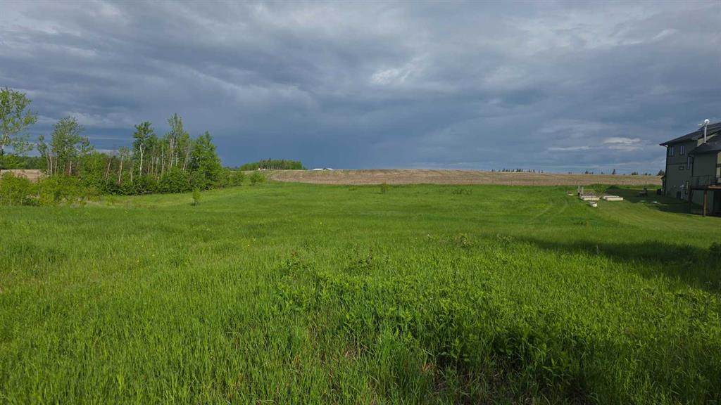 #114  15421 Old Trail - Photo 1