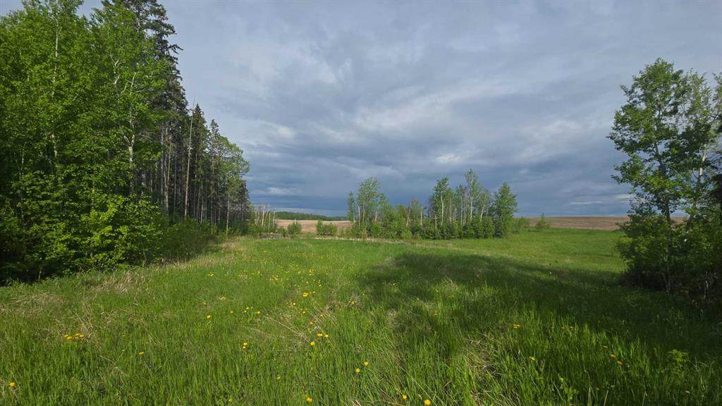 #118, 15421 Old Trail - Photo 1