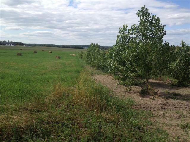68126 Campsite Road - Photo 1