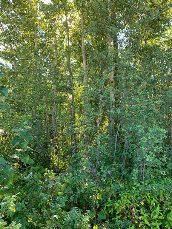 Lot 7A 99 Avenue - Photo 1